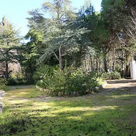 Le Cesine * فرنولي
